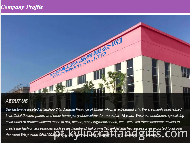 Company Profile